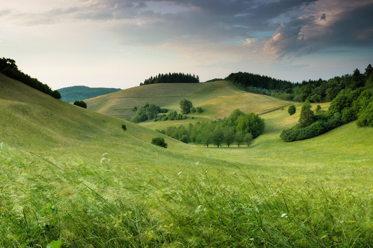Hills